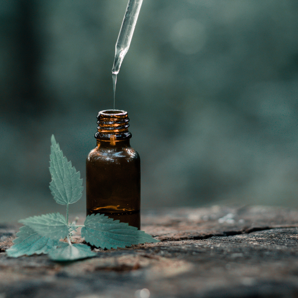 Eine Flasche mit ätherischem Öl in einem Wald.