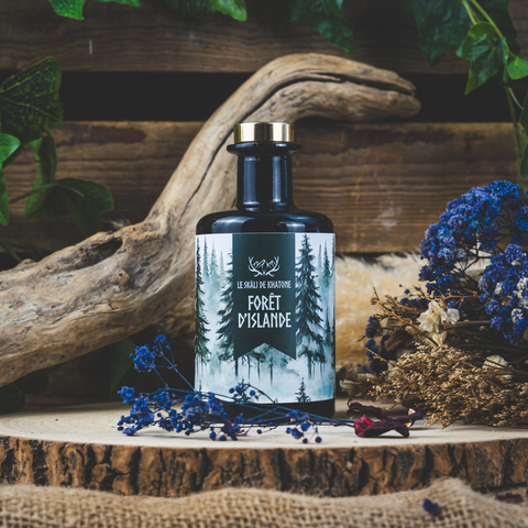 Kapilir - Stem diffuser - Icelandic Forest
