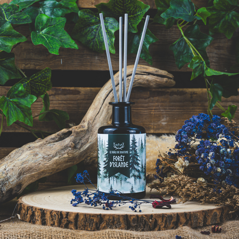 Kapilir - Stem diffuser - Icelandic Forest