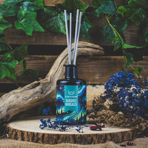 Kapilir - Aurora Borealis Stem Diffuser