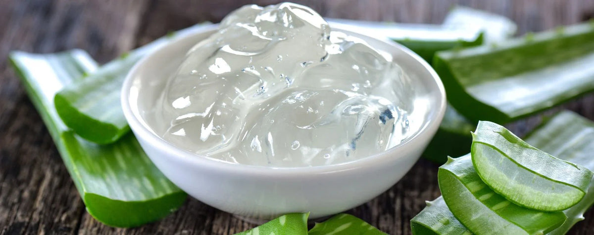 Du gel à l'aloe vera