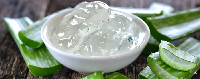 Du gel à l'aloe vera