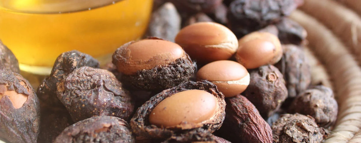  flacon d'huile d'argan et amandes d'arganier sur fond clair