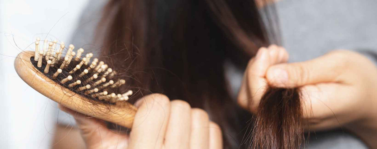 chute de cheveux sur une brosse