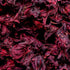 Hibiscus en infusion : tous les bienfaits et comment la préparer
