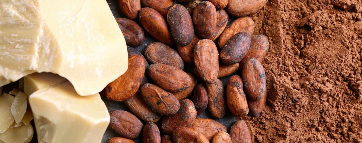 Du cacao en beurre, en fève et en poudre. 