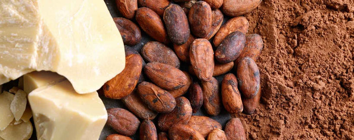 Du cacao en beurre, en fève et en poudre. 