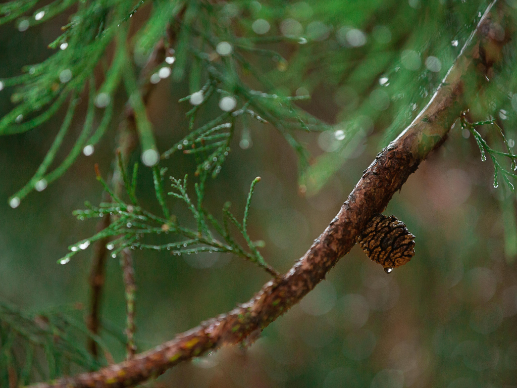 Porte-savons – Fabrication Artisanal Suisse