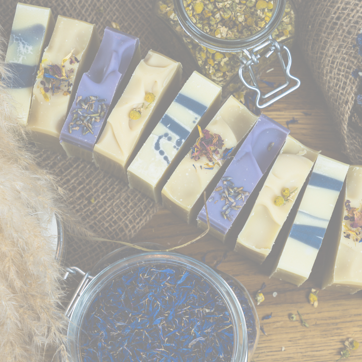 Les Offres – Black Friday 2025