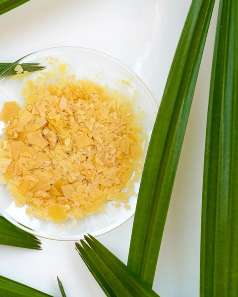 Cire de Carnauba
