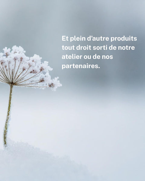 Box du Solstice d'hiver 2026 - Edition limitée