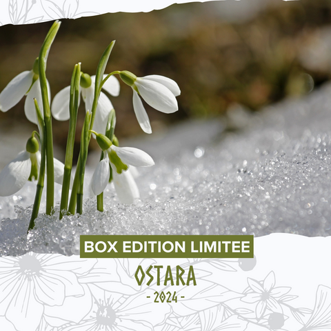 Box de l'Équinoxe de printemps - Édition limitée 30 exemplaires - 2024