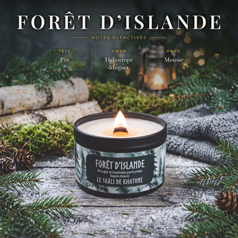 Visuel des notes olfactives de la bougie parfumée Forêt d’Islande