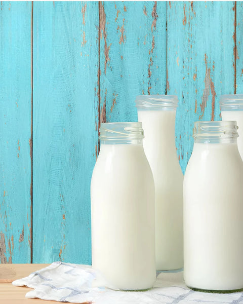 Lait d'ânesse en poudre bio