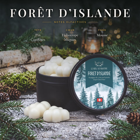 Nuages parfumés – Forêt d’Islande