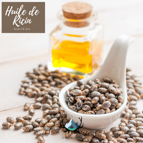 Huile de ricin Bio